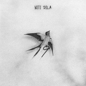NITI DILA - В поле дым