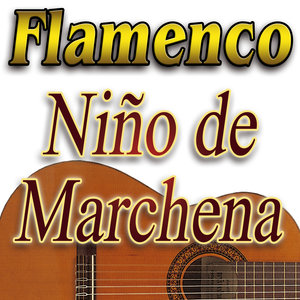 Flamenco Puro