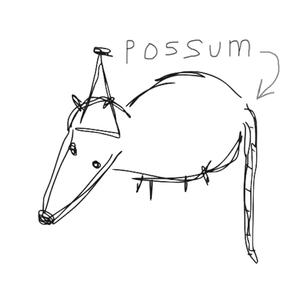 The Possum EP