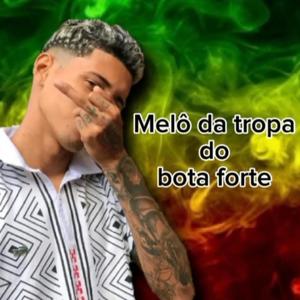 Melô da Tropa do Bota Forte (Reggaefunk|Explicit)