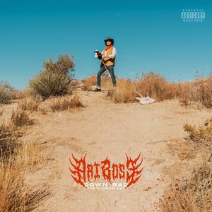 Down Bad (She's Hopeless) (Explicit)