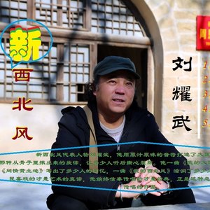 刘耀武新西北风经典作品集