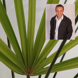 E até lá (Remastered 2025)