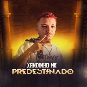 Predestinado (Remix)