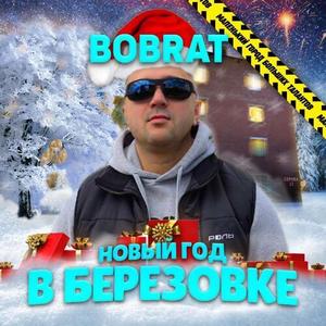 Новый год в BRZ