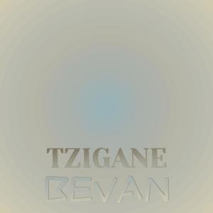 Tzigane Bevan