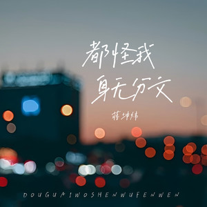都怪我身无分文封面