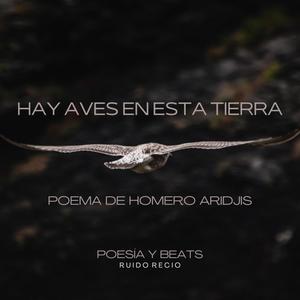 Hay Aves En Esta Tierra (Poema de Homero Aridjis)