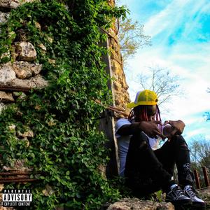 Dream bout Life (feat. CamRotn & Lowmancam) (Explicit)