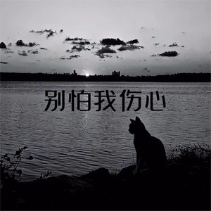别怕我伤心 (孟令辉版)封面