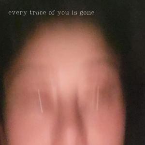 Every Trace of You is Gone