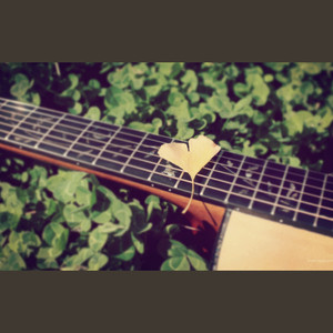 假如彼此不曾相遇