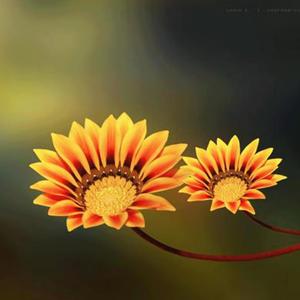 Begi Di Mama (feat. lieve spin)