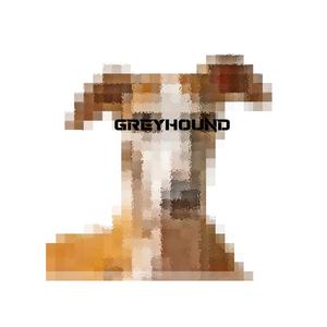 Greyhound