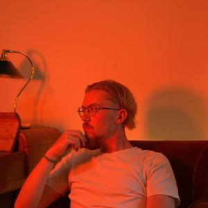 The Fox Outside is Dying