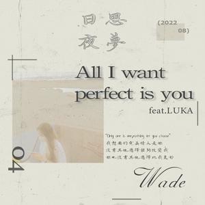 All I Want Perfect Is You (Explicit)