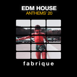 EDM House Anthems '20