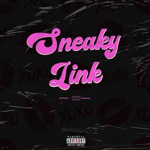 Sneaky Link (Explicit)