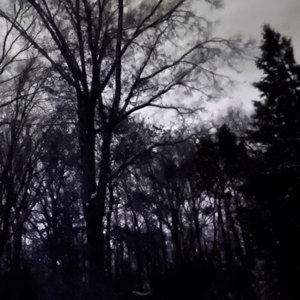 What You Need (Explicit)