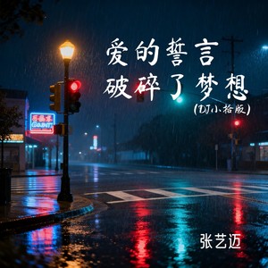 爱的誓言破碎了梦想 (DJ小拾版)封面