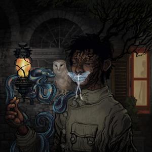 Whiskey & Ginger (feat. AquaBot) (Explicit)