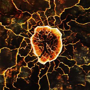 DNB/D3 (feat. Shenko) (Explicit)