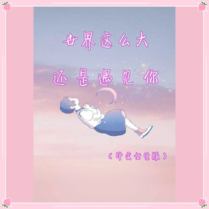 世界这么大还是遇见你 (中文女生版)