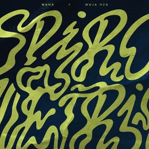 Spirometria (Explicit)