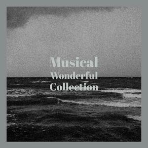 Musical Wonderful Collection