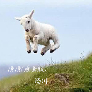 凉凉