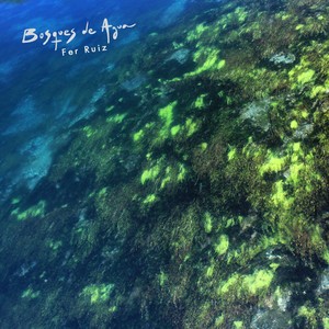 Quisiera Verte Algún Día Blanco