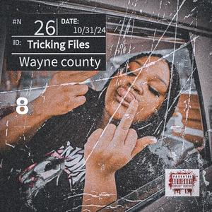 Tricking Files (Explicit)