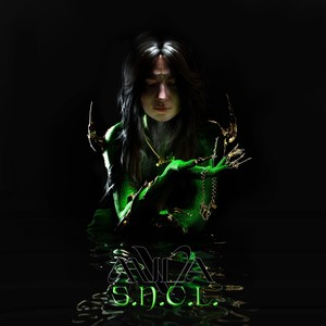 S.N.C.L.