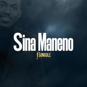 Sina Maneno (feat. Francisca Sabuni, Allen Kipanga, Happy Ndemela, Hiltrudis Kayanda & St Judathadeus Choir Bugando)