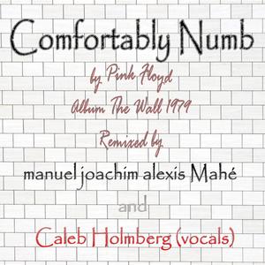 Comfortably Numb (feat. Caleb Holmberg)