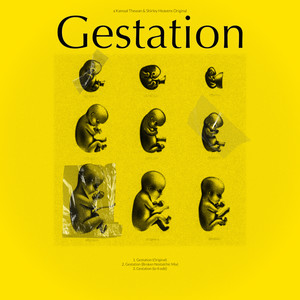 Gestation