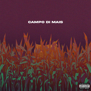 Campo di mais