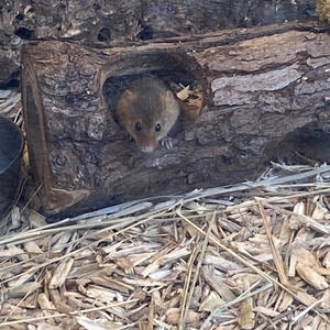 Let Go (Refined Version)