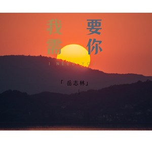 我需要你