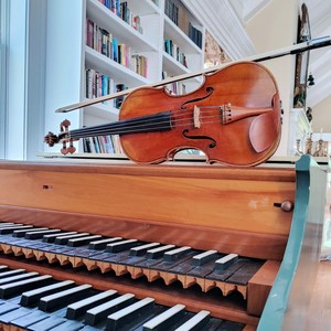 Sonata No. 3 in G Minor, BWV 1029 - III. Allegro