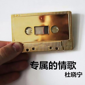 专属的情歌