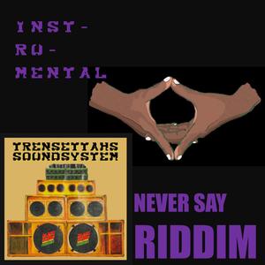 NEVER SAY (Inst.)