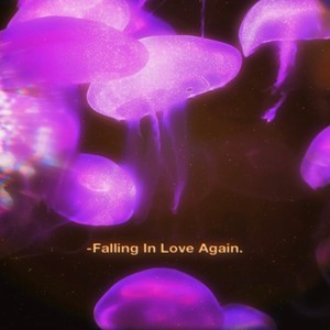 -Falling in Love again. (Live)