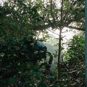 I'm Tired, That's All...