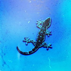 Geko