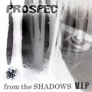 From The Shadows (VIP mix)