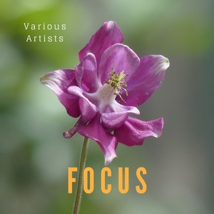 Focus