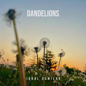 Dandelions (Acoustic Guitar)
