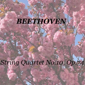 Beethoven: String Quartet No.10, Op.74