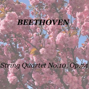 String Quartet No.10, Op.74 - Presto